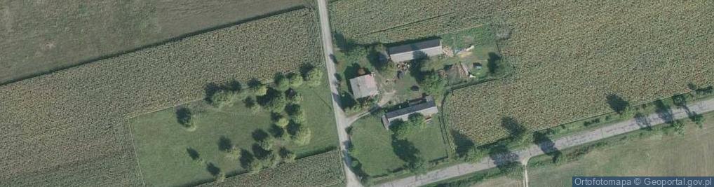 Zdjęcie satelitarne Kulczyn-Kolonia ul.