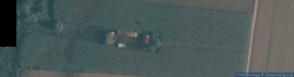 Zdjęcie satelitarne Kupientyn-Kolonia ul.