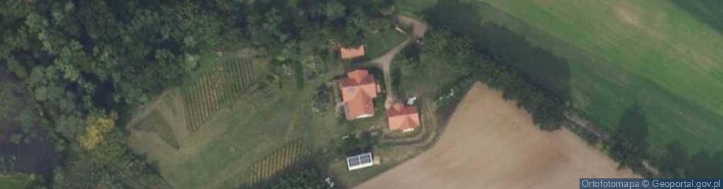 Zdjęcie satelitarne Kurnatowice ul.