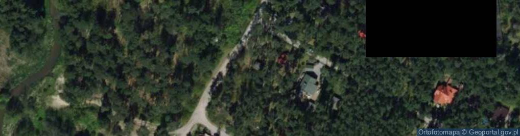 Zdjęcie satelitarne Kubusia Puchatka ul.