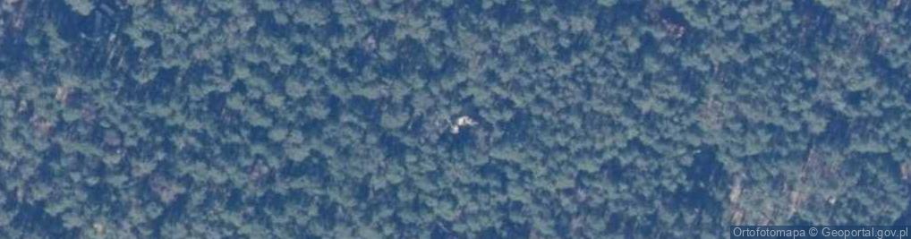 Zdjęcie satelitarne Kwiatu Paproci ul.