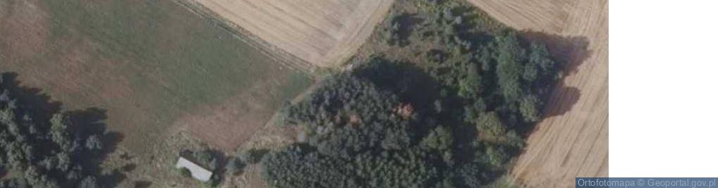 Zdjęcie satelitarne Łapicze ul.