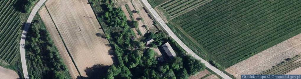 Zdjęcie satelitarne Las Stocki ul.