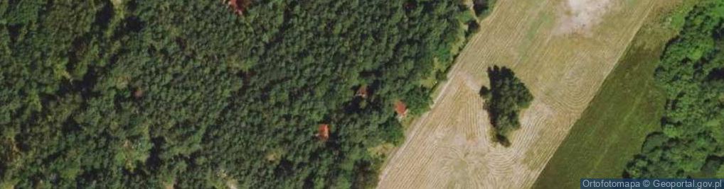Zdjęcie satelitarne Laskowizna ul.