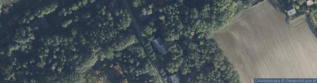 Zdjęcie satelitarne Leśne Wzgórze ul.