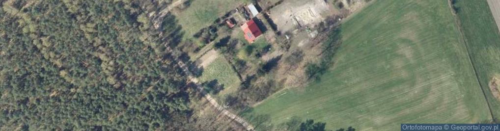 Zdjęcie satelitarne Łęg-Witoszyn ul.
