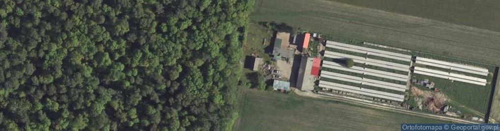 Zdjęcie satelitarne Leśce ul.