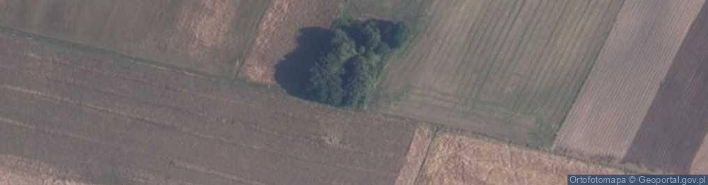 Zdjęcie satelitarne Leśna Jania ul.
