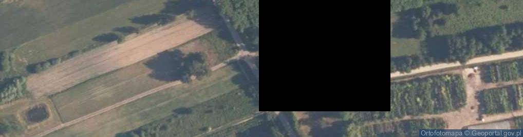 Zdjęcie satelitarne Leśne Odpadki ul.