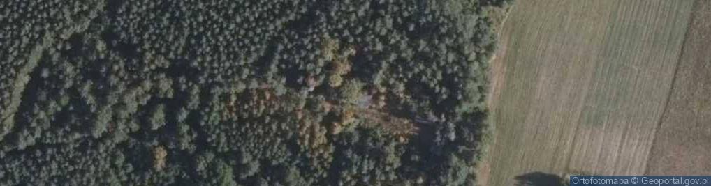 Zdjęcie satelitarne Lewkowo Stare ul.