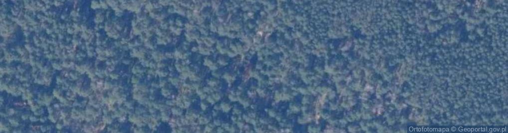 Zdjęcie satelitarne Leśnych Ludzi ul.