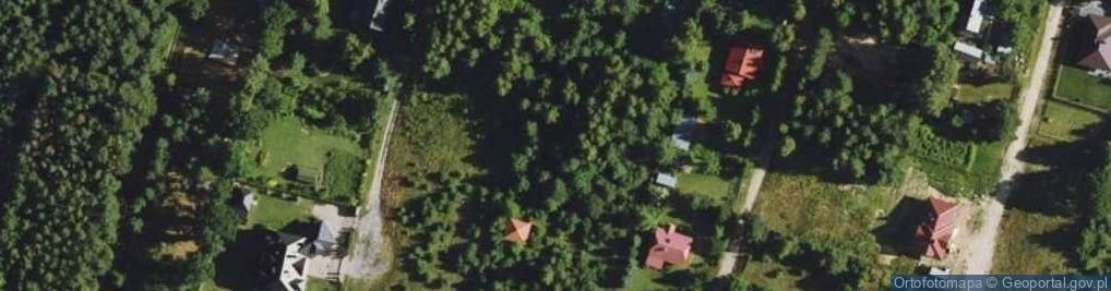 Zdjęcie satelitarne Leśnej Ciszy ul.