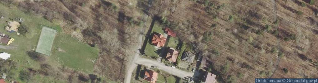 Zdjęcie satelitarne Leśna Polana ul.