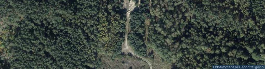 Zdjęcie satelitarne Leśny Kąt ul.