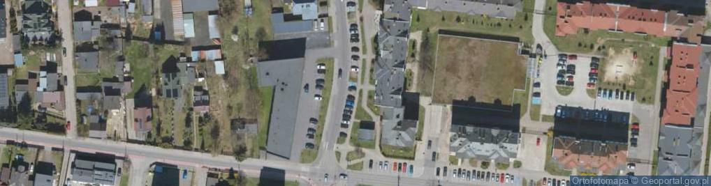 Zdjęcie satelitarne Lewa ul.