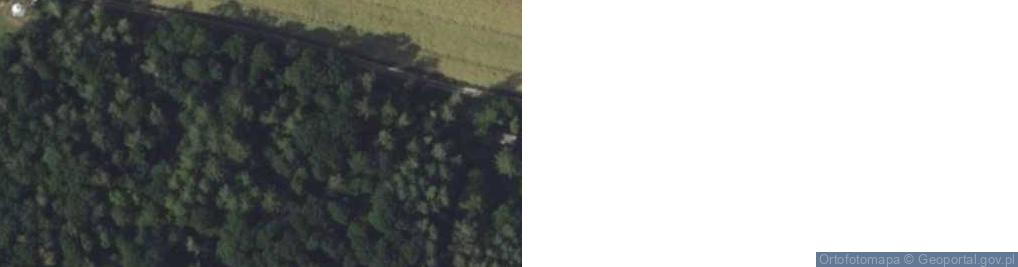 Zdjęcie satelitarne Leśna ul.