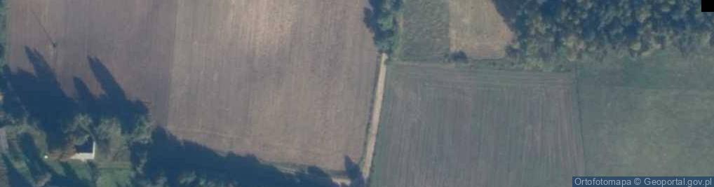 Zdjęcie satelitarne Lipkowa ul.