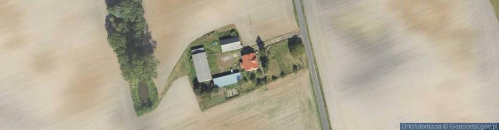 Zdjęcie satelitarne Lisewo ul.