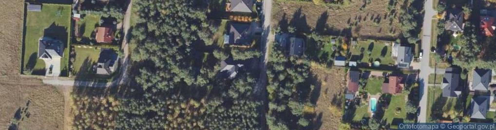 Zdjęcie satelitarne Lisia ul.