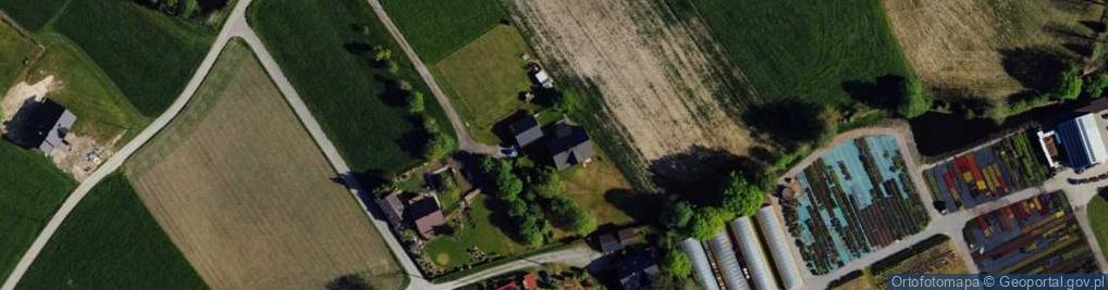 Zdjęcie satelitarne Lisia ul.