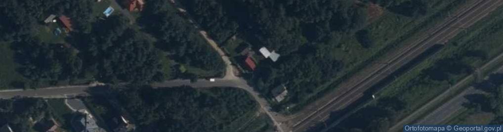 Zdjęcie satelitarne Łojew ul.