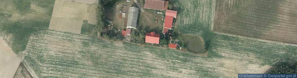 Zdjęcie satelitarne Lubiewo ul.