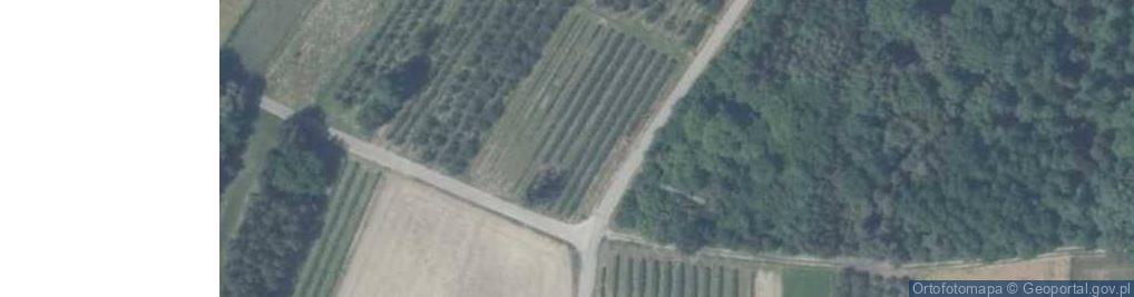 Zdjęcie satelitarne Ludwików ul.