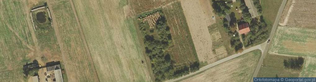 Zdjęcie satelitarne Lutobórz ul.