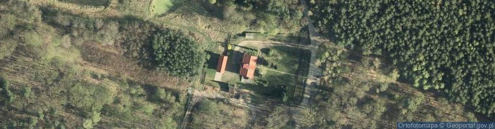 Zdjęcie satelitarne Łyniec ul.