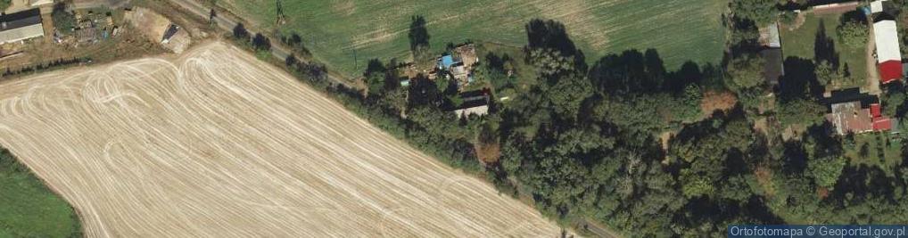 Zdjęcie satelitarne Łysinin ul.