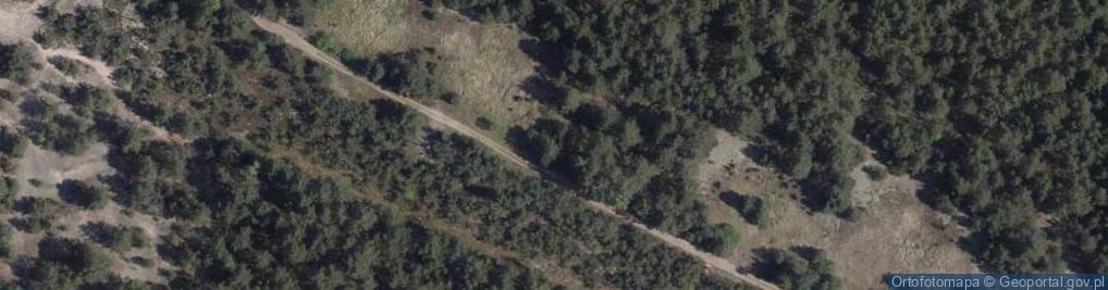 Zdjęcie satelitarne Łysomicka ul.