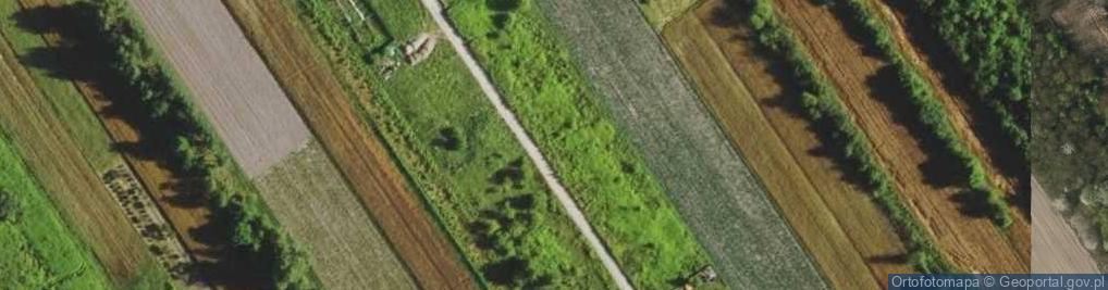 Zdjęcie satelitarne Małego Stawu ul.