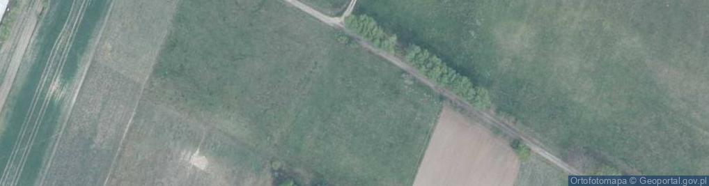 Zdjęcie satelitarne Maćkowicze ul.