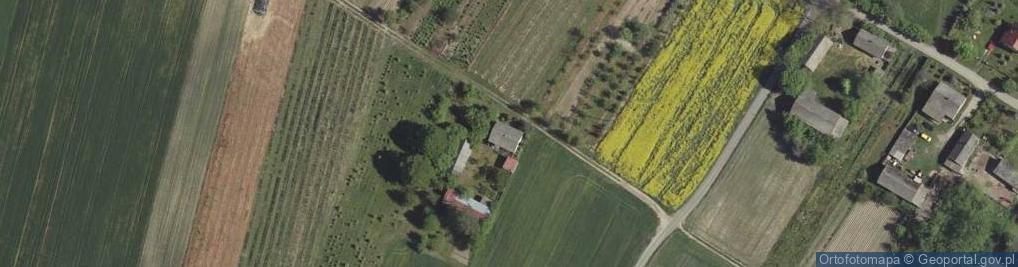 Zdjęcie satelitarne Majdan Borzechowski ul.