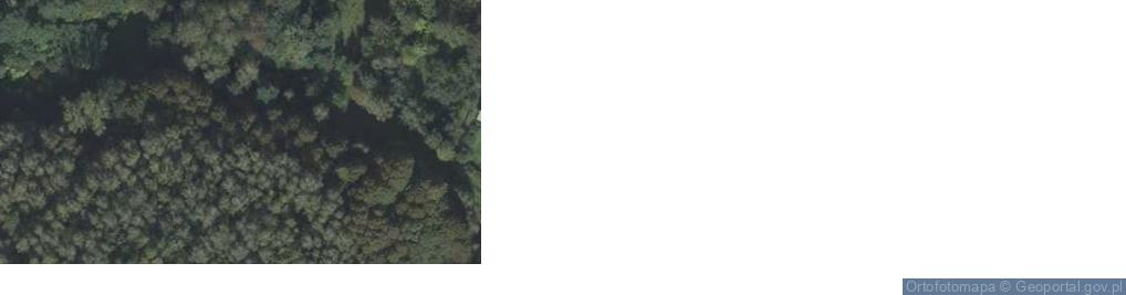 Zdjęcie satelitarne Majdan Ostrowski ul.