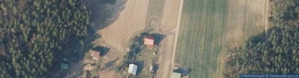 Zdjęcie satelitarne Malewice ul.