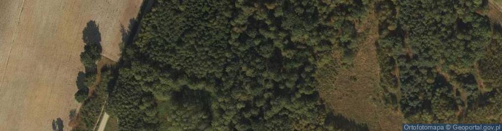Zdjęcie satelitarne Małomin ul.