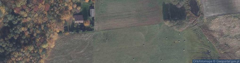 Zdjęcie satelitarne Małoziemce ul.