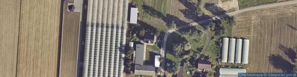 Zdjęcie satelitarne Marcjanów ul.