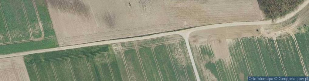 Zdjęcie satelitarne Matyldzin ul.