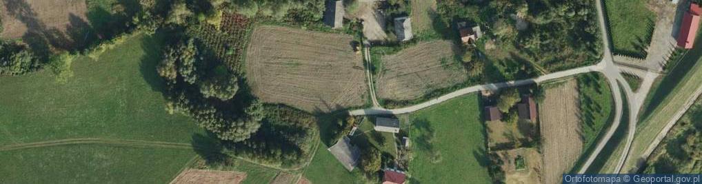 Zdjęcie satelitarne Mały Przewóz ul.