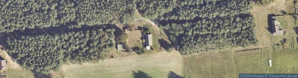 Zdjęcie satelitarne Michalinów Trąbczyński ul.