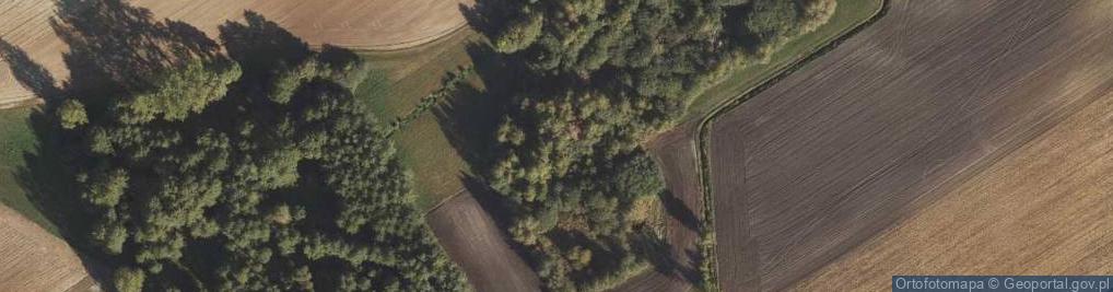 Zdjęcie satelitarne Mieczysławowo ul.