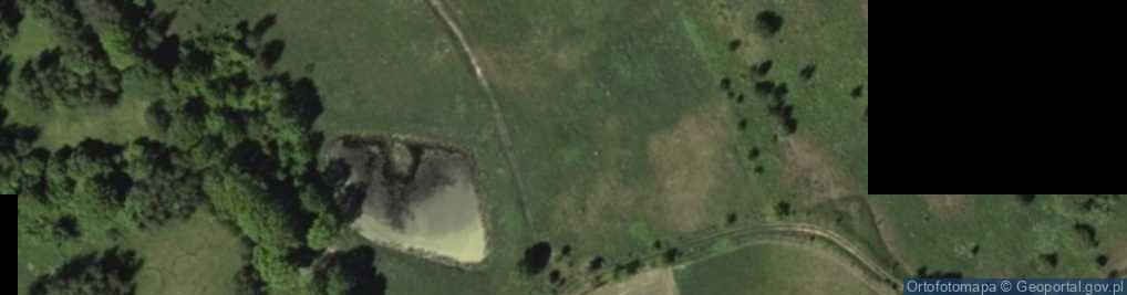 Zdjęcie satelitarne Miejski Las ul.