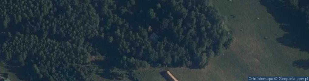 Zdjęcie satelitarne Mierzwice-Kolonia ul.