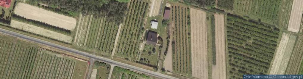 Zdjęcie satelitarne Mikołajówka ul.