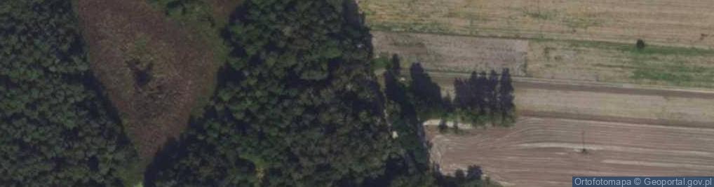 Zdjęcie satelitarne Miłkowice ul.