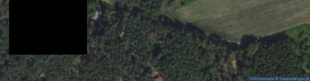 Zdjęcie satelitarne Miła ul.