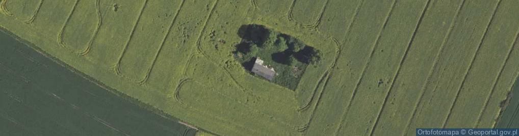 Zdjęcie satelitarne Młodziejów ul.