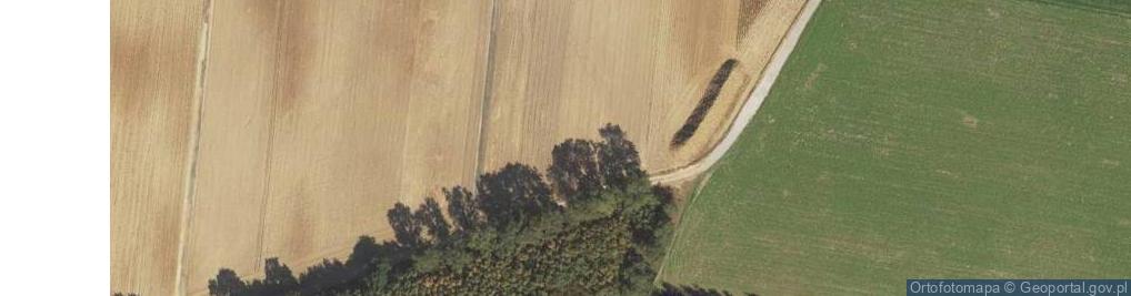 Zdjęcie satelitarne Młyny Leśniczówka ul.